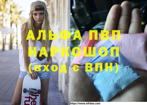 стафф Володарск