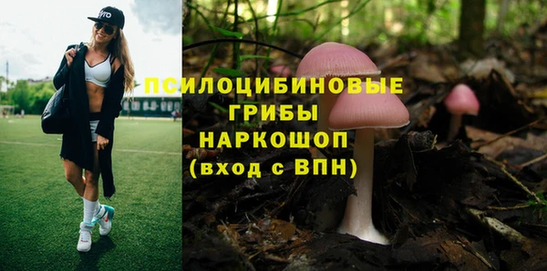 стафф Володарск